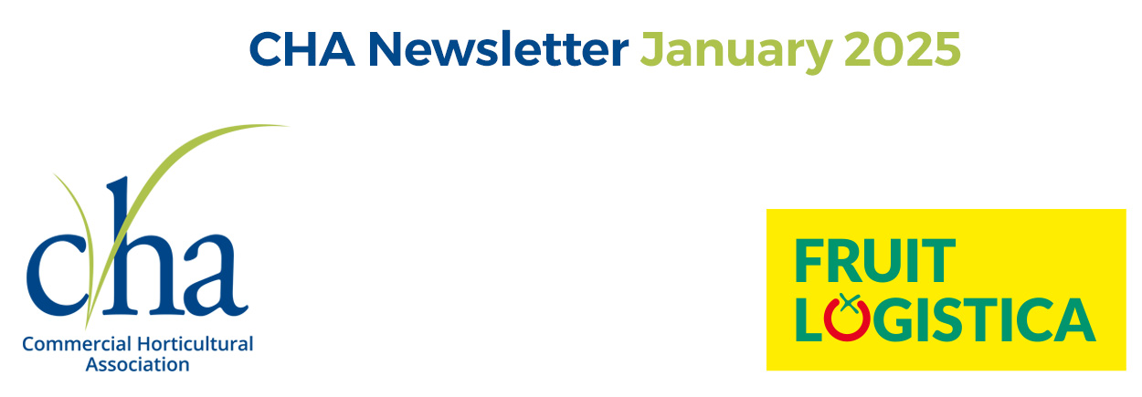 The CHA – January 2024