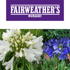 Fairweather’s Nursery