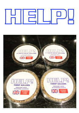 HELP!
