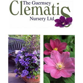 The Guernsey Clematis Nursery Ltd
