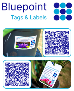 Bluepoint Tags and Labels