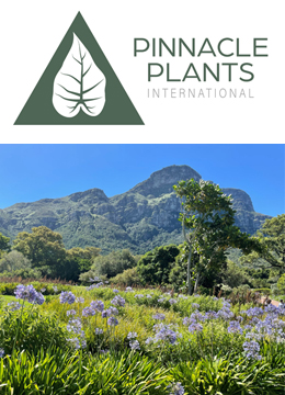 Pinnacle Plants International