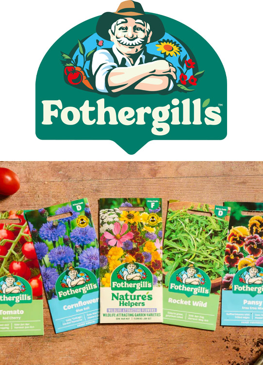 C Long Design Studio