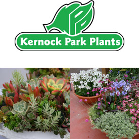 Kernock Park Plants