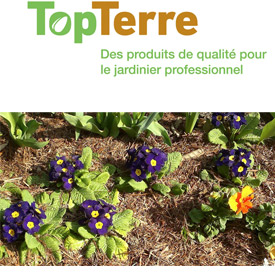 Top Terre Ltd